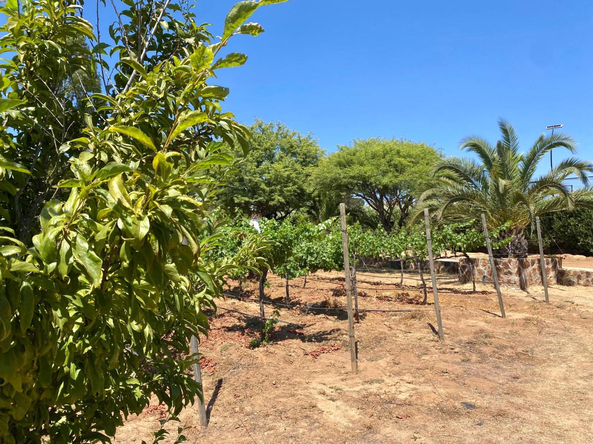 מלון ואלה דה גוואדלופה Tierra Mia Hacienda Ruta Del Vino מראה חיצוני תמונה